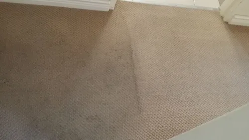 Item being cleaned - 3